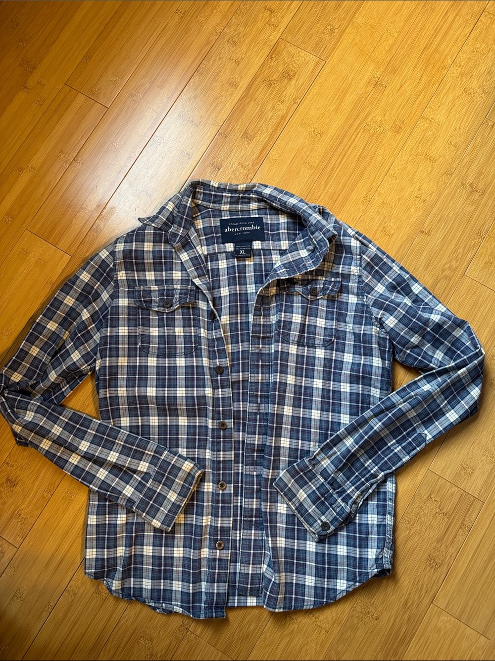 Abercrombie & Fitch Navy and White Plaid Button-Down Shirt